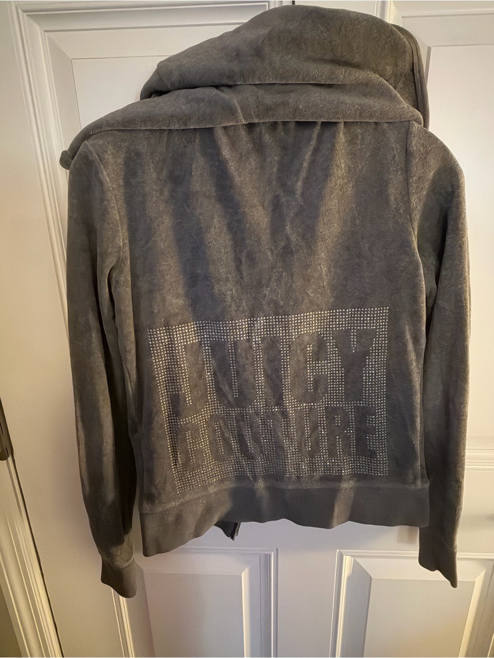Men's velour hoodie jacket - back view